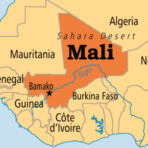 Javier Nart (Cs): «con formación inadecuada y desarmados, estamos enviando a los malienses a la muerte»