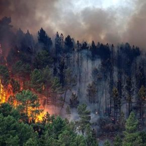 Javier Nart “Con los fondos solidarios destinados a Galicia tras los incendios de 2017, la Unión Europea responde mejor que la Xunta”