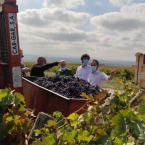 Cs pide a la UE un apoyo decidido al sector del vino porque su situación es grave y está en riesgo la campaña de Navidad