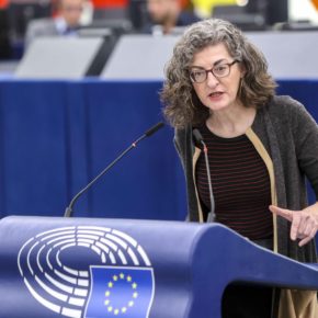 Pagaza aboga por prohibir las puertas giratorias desde el Parlamento Europeo y ampliar la transparencia sobre las reuniones de los diputados en el marco legislativo