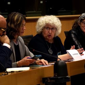 La jurista Teresa Freixes alerta en Bruselas de que la amnistía abre la puerta a la autodeterminación y deja al Estado sin instrumentos para defenderse